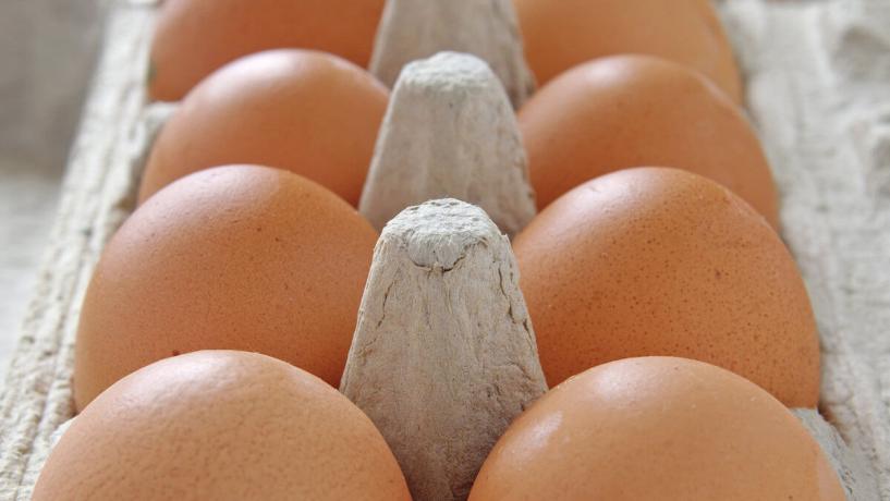 A Set of New Laws Are Created for Egg Sales