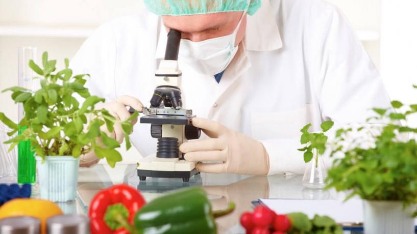 A professor in a food testing lab using a microscope