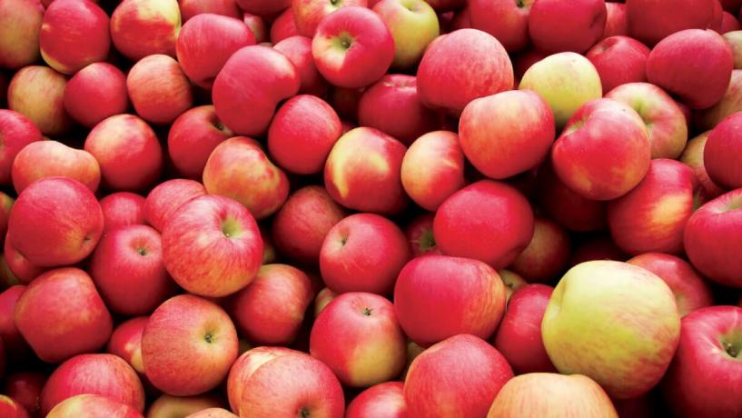 Australian Orchardists Call for Cider Concentrate Regulations