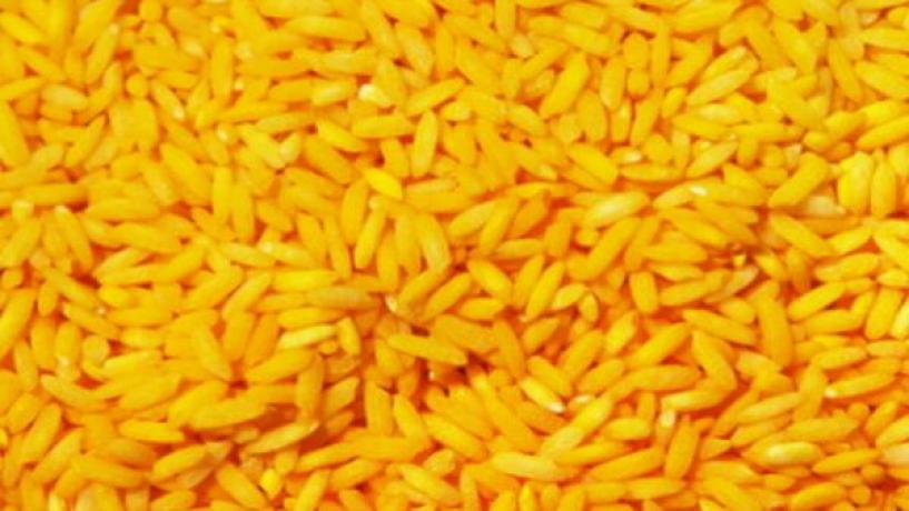 Australian Scientists Condemn Golden Rice Attack