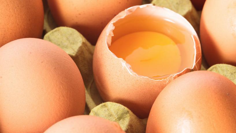 Coles to Stop Selling Caged Eggs from January 2013