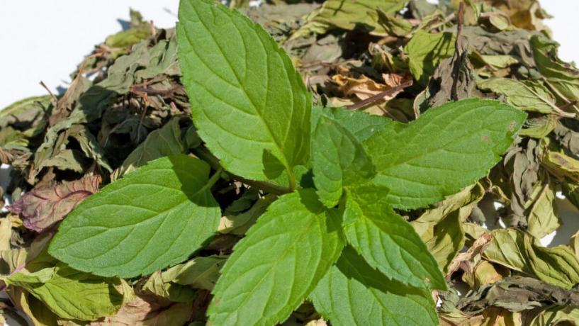 Dried Mint from TR Kuru Nane on the Recall List