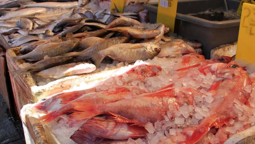 Food Poisoning Traced Back to Fish Firm