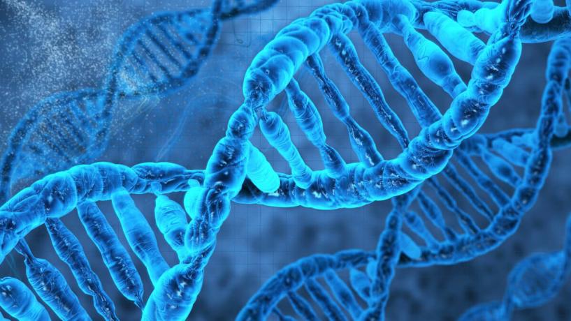 Germany Creates Better DNA Traceability