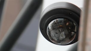 New Zealand Fast Food Restaurants Install Cameras for Food Safety