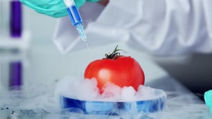 Non-GMO Certification Launched by HACCP