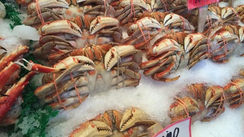 South Australian Seafood Packaging Improves Export Opportunities