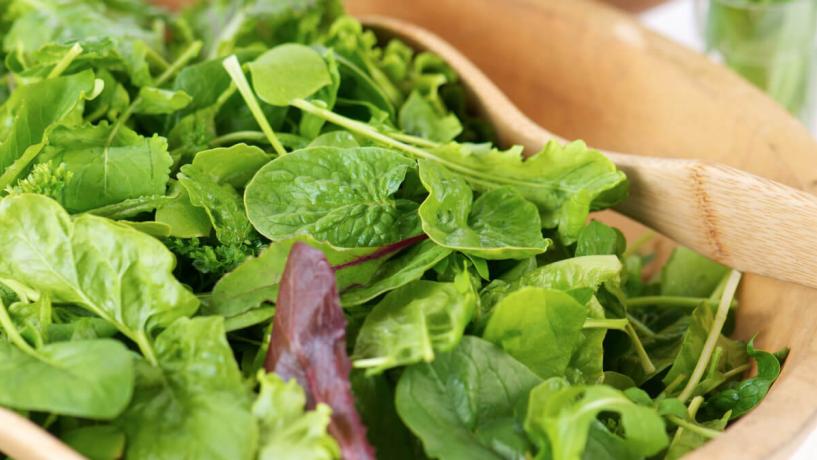 Study Finds Salmonella in Ready-to-Eat Salads