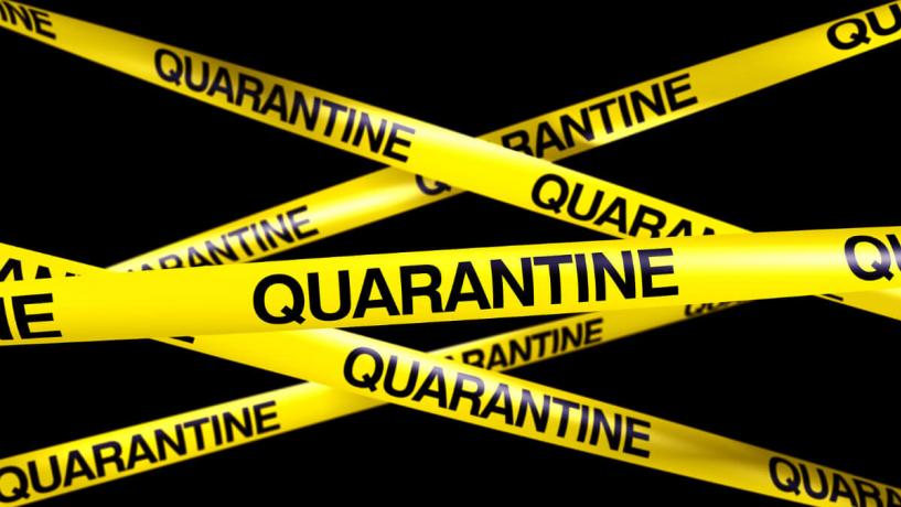 The Australian Quarantine and Inspection Service Is Working for You