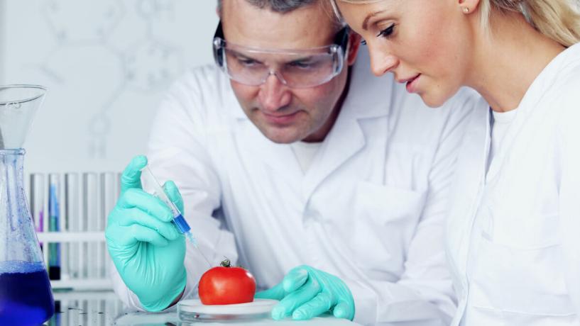 UK Scientists Discover Fruit Ripening Gene