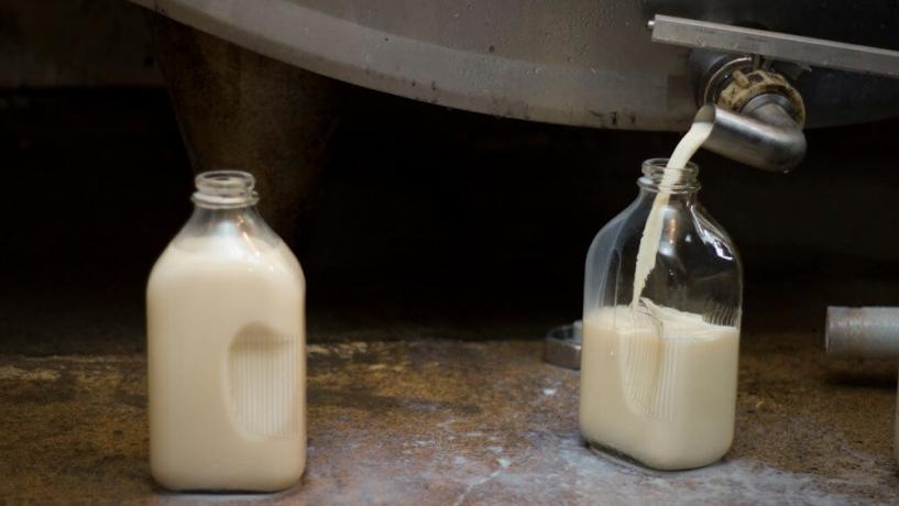 Undrinkable Ingredient to be Added to Raw Milk in Victoria