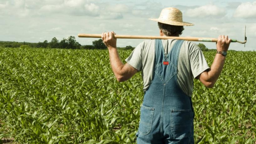 A small produce farmer standing in a field