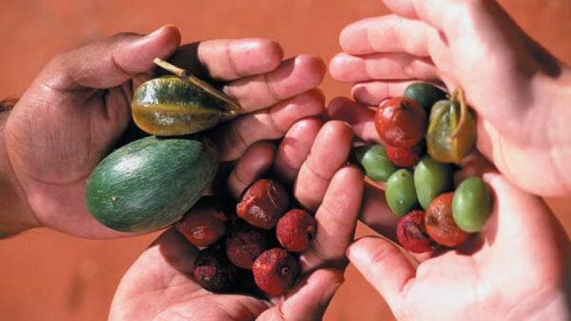 Yan Gari Tucker Project Teaches Queensland Mums to Cook