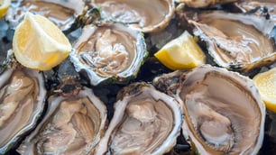 Coffin Bay Raw Pacific Oysters Recalled Amidst Vibrio Outbreak