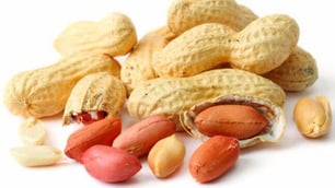Hope on the Horizon for Sufferers of Peanut Allergies