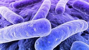 NSW Aged-Care Facility Death Linked to Salmonella
