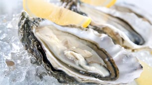 Raw Oysters from South Australia Linked to Vibrio Cases