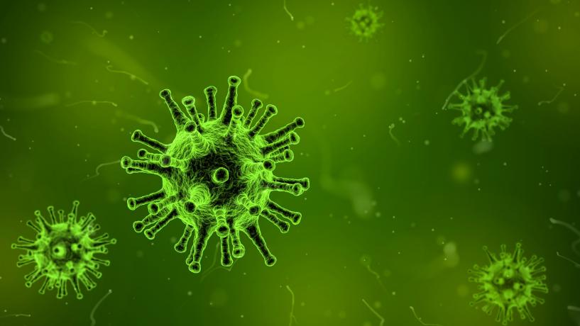 New Low-Cost Method for Detecting Norovirus