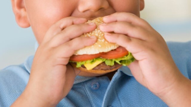 A child eating a hamburger, also known as junk food.