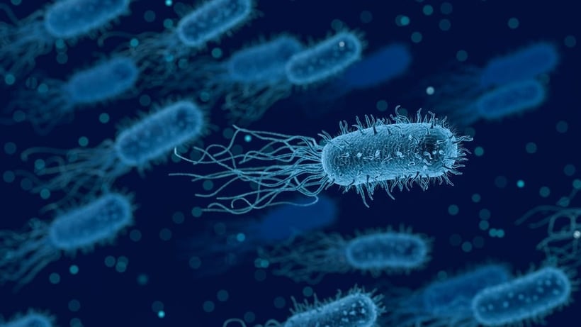 Listeria Outbreak Raises Health Concerns In Three Australian States